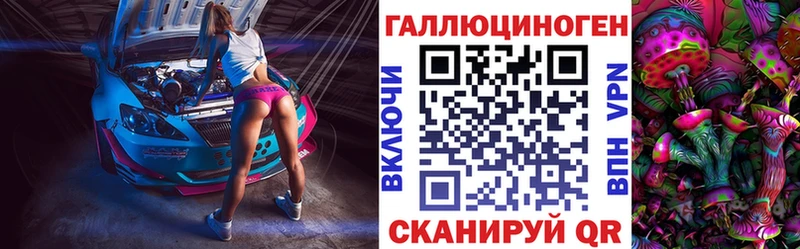 где купить наркоту  Шлиссельбург  Галлюциногенные грибы Psilocybe 
